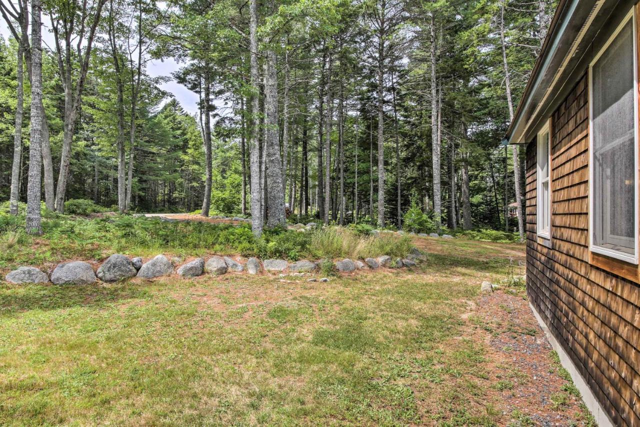 Hidden Gem Near Blue Hill Peninsula