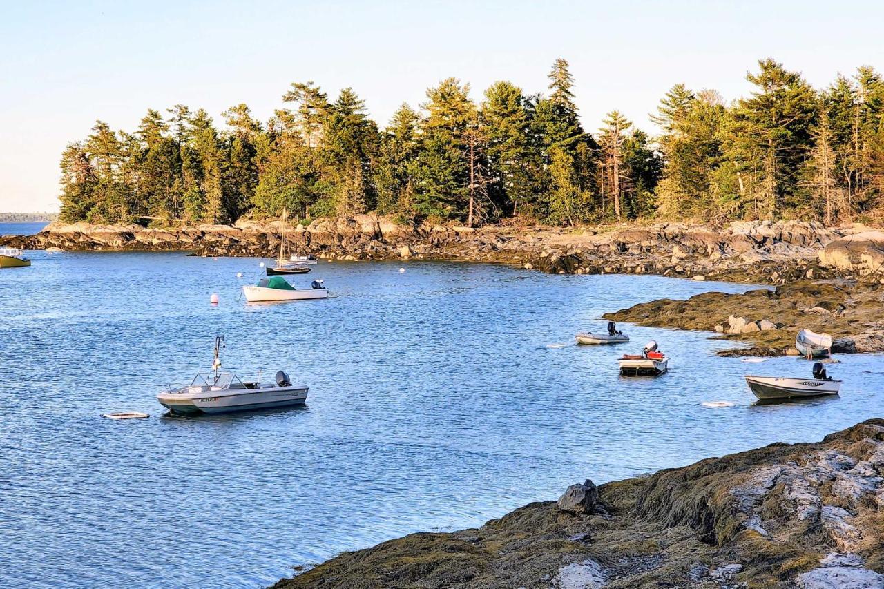 Hidden Gem Near Blue Hill Peninsula